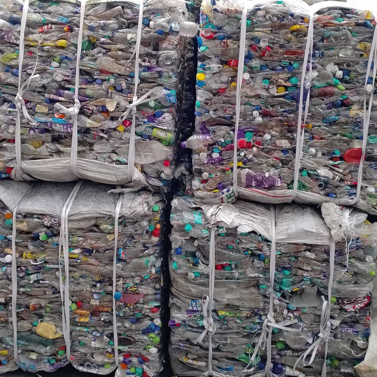 Gaurav Babita Recycling maharashtra india Plastic4trade